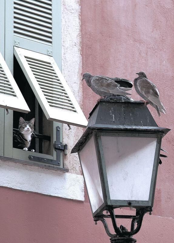 爱游戏综合娱乐-美国奥运男篮备战：全明星球员集结进行强度大训练，美国奥运男子篮球队