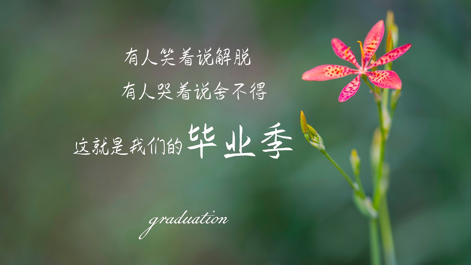 阿尔梅利亚主场胜利,赢得球迷欢心,阿尔梅利亚vs西班牙人