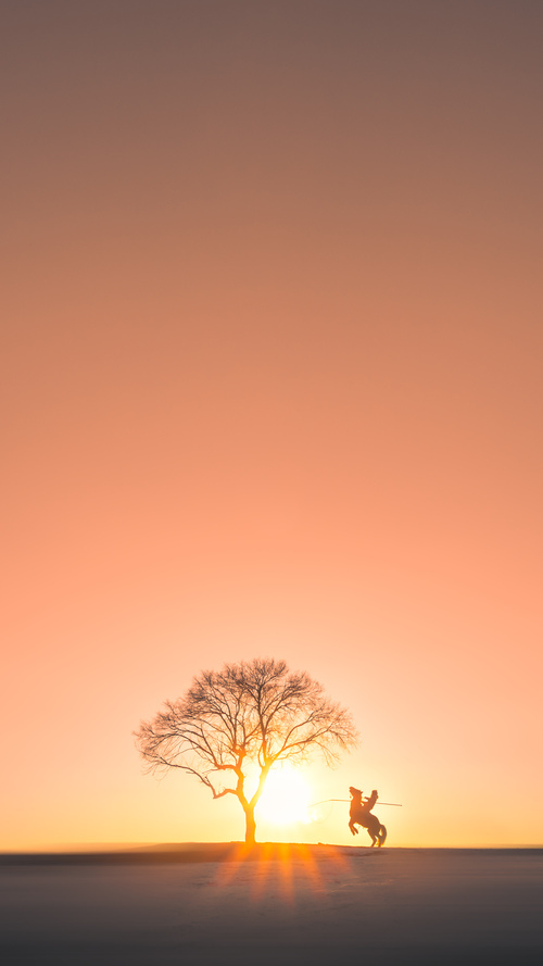 荷兰骑手 Dinja van Liere 在巴黎奥运会盛装舞步比赛中获得第六名,创造个人最佳成绩。