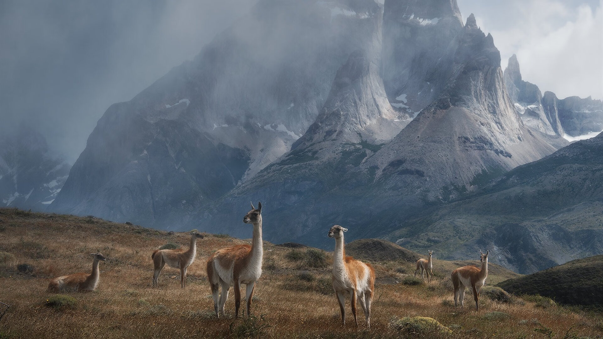 世界摩托艇大奖赛中国选手刷新亚洲纪录，国际摩托艇大赛