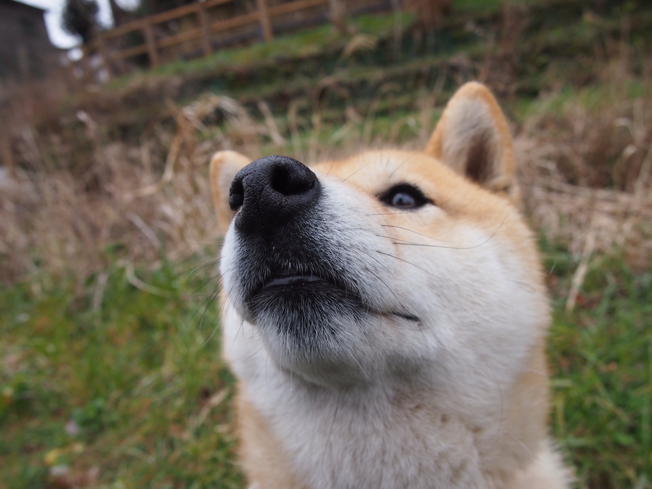 中超联赛定位球套路打法分布可视图，2021赛季中超比赛用球