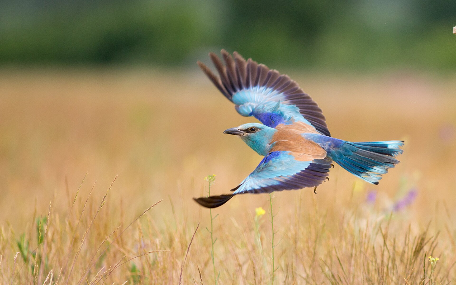 智能体育装备使用对高校学生锻炼意愿的影响分析,智能体育设施