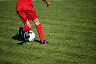 AYX SPORTS-篮球运动员心理韧性培养及心理干预体系建设，篮球运动员心理素质的重要性