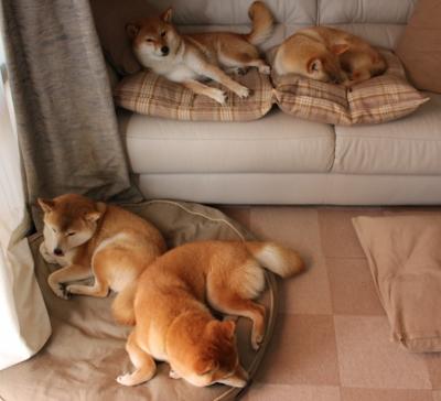 爱游戏中国官方网站平台-体育新闻中心推动体育赛事版权保护法律框架完善，体育赛事媒体