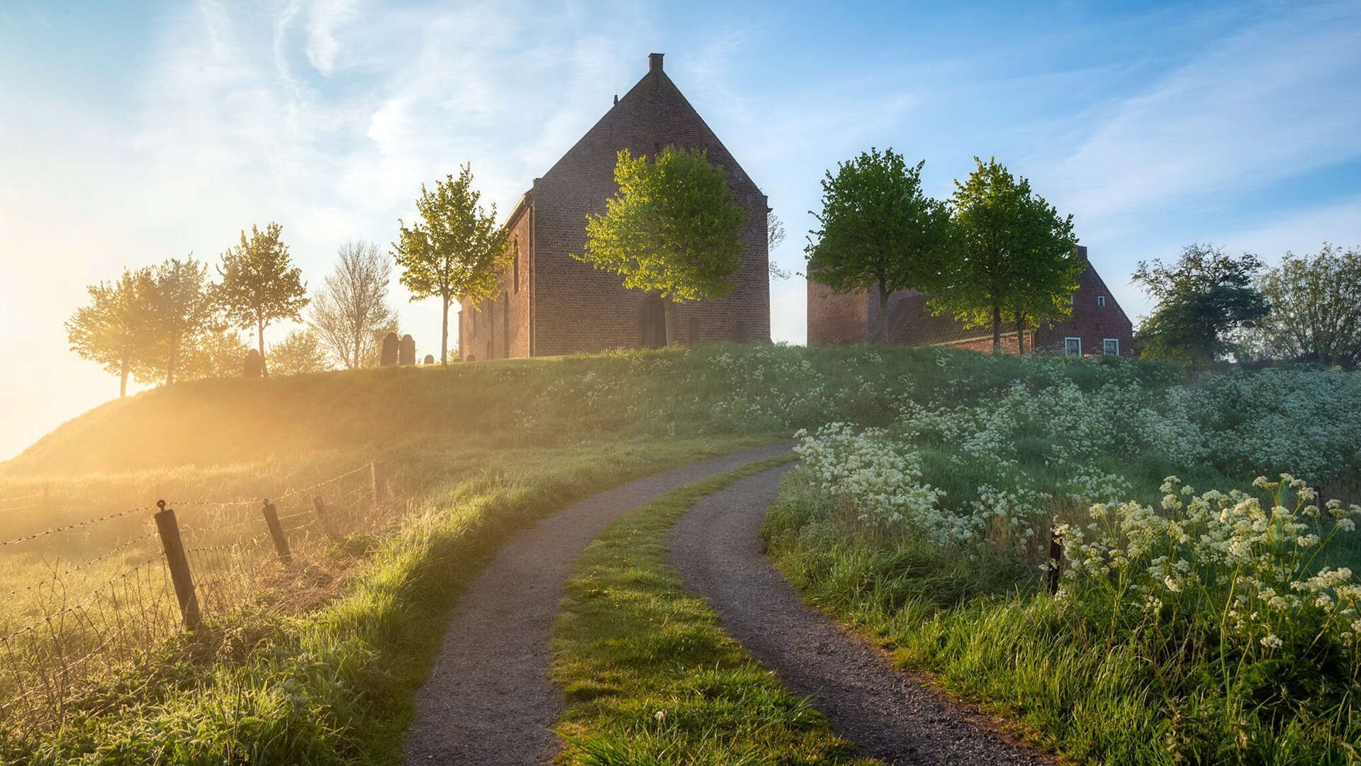 国家女篮提升战术应变能力应对多变对手,国家队女篮