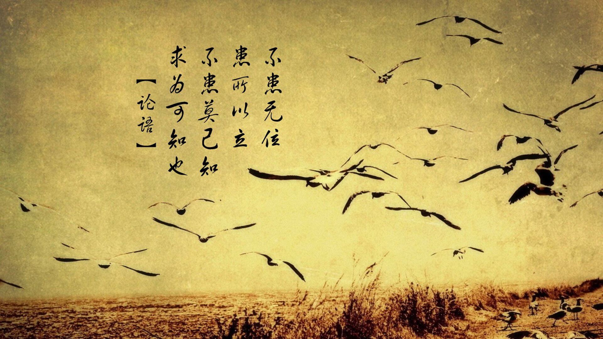 球队应急补强后表现提升是否与战术体系契合,应急补给是什么肉