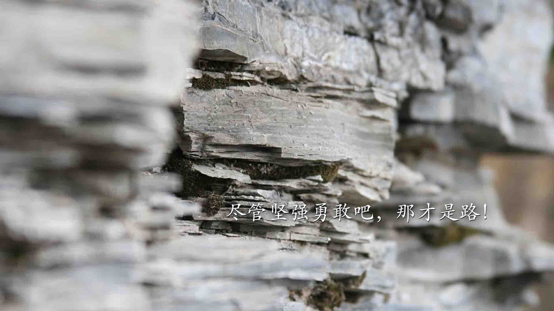 奥地利蛙泳技术提升明显，奥地利蛙泳技术提升明显吗