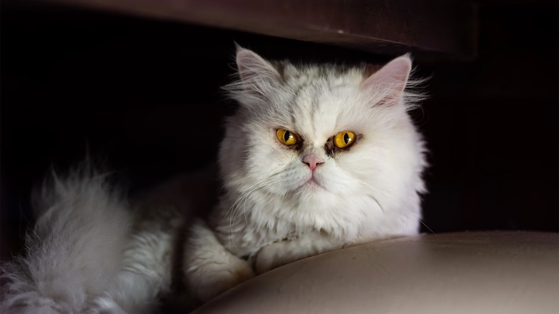 爱游戏app-女篮集训重视传切配合打造流畅进攻体系，女篮训练营