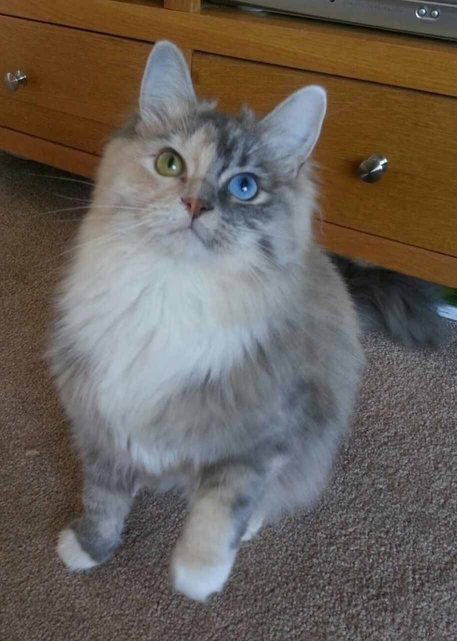 德甲超级反击:瞬间破门令人惊叹!,德甲打法特点